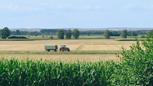 KIWA FOTO TH.jpg
